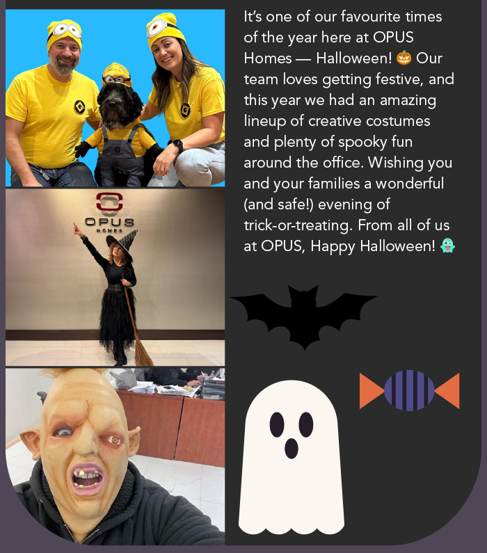 OPUS Homes newsletter section divider