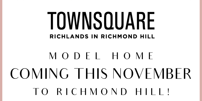 OPUS Homes newsletter section divider