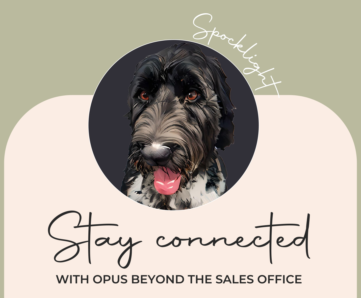 Spocklight – Stay connected with OPUS beyond the sales office