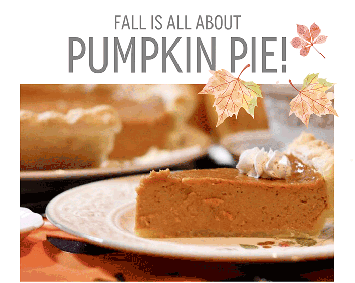 Fall is all about PUMPKIN PIE!