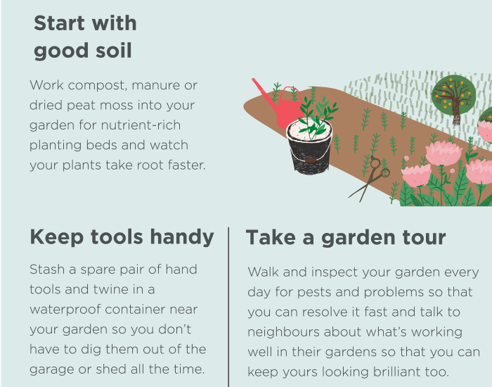 Keep tools handy Stash a spare pair of hand tools and twine in a waterproof container near your garden so you don’t have to dig them out of the garage or shed all the time. Take a garden tour Walk and inspect your garden every day for pests and problems so that you can resolve it fast and talk to neighbours about what’s working well in their gardens so that you can keep yours looking brilliant too.