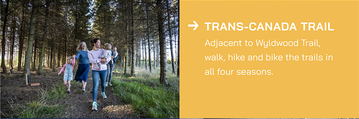 Trans-Canada Trail Adjacent to Wyldwood Trail, walk, hike and bike the trails in all four seasons.